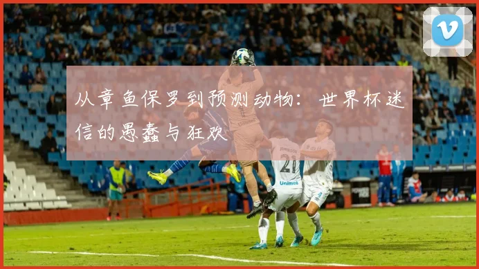 从章鱼保罗到预测动物：世界杯迷信的愚蠢与狂欢