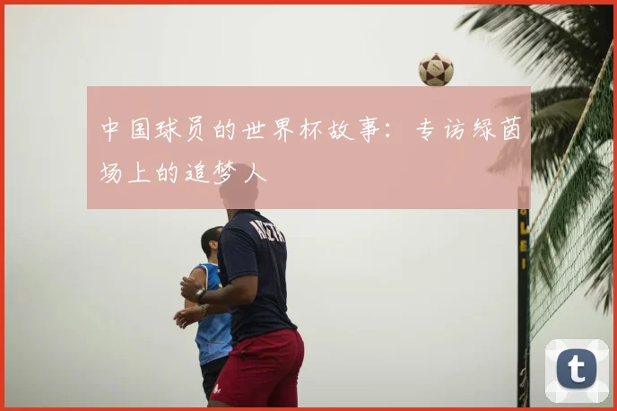 中国球员的世界杯故事:专访绿茵场上的追梦人