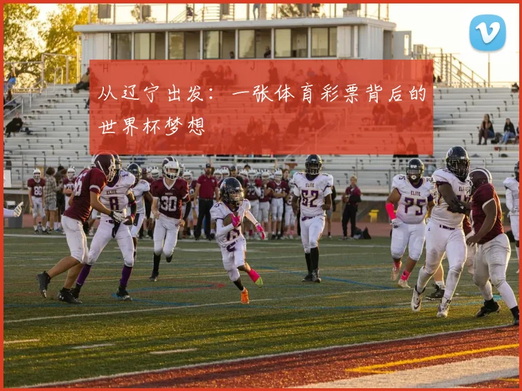 从辽宁出发：一张体育彩票背后的世界杯梦想