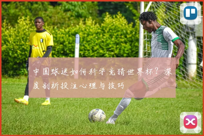 中国球迷如何科学竞猜世界杯?深度剖析投注心理与技巧