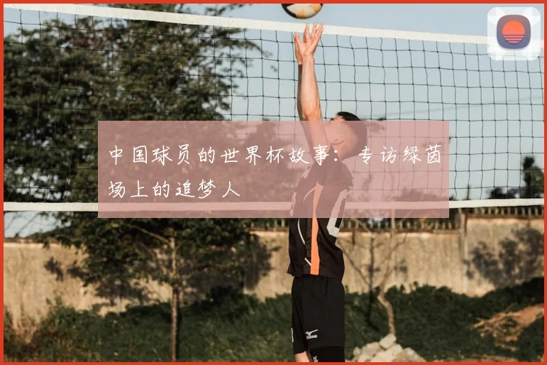 中国球员的世界杯故事:专访绿茵场上的追梦人