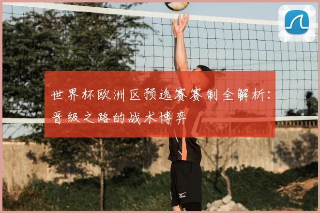 世界杯欧洲区预选赛赛制全解析：晋级之路的战术博弈