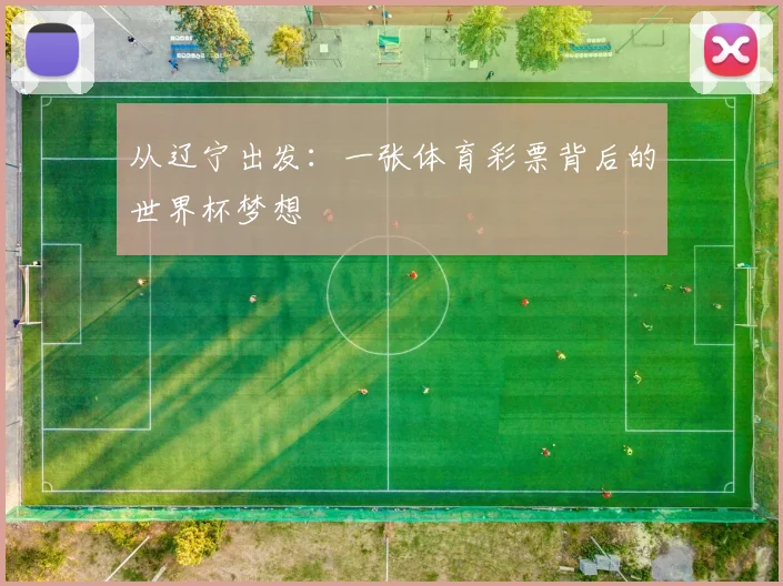 从辽宁出发：一张体育彩票背后的世界杯梦想